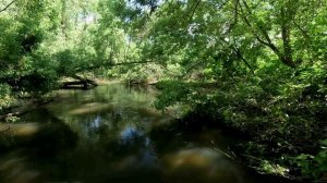 Северка в День Рождения Оли 22062024