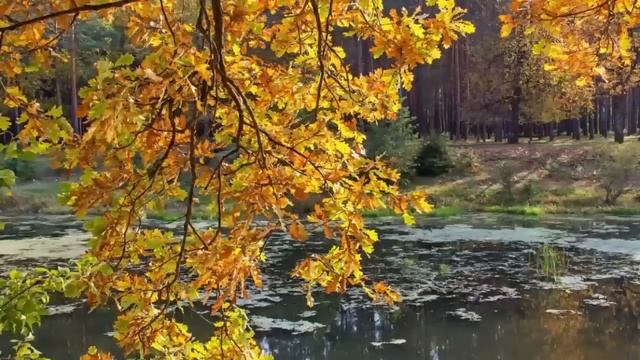 Главного мы никогда не видим и не понимаем. Игумен Никон Воробьев.. смотреть онлайн