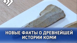 Археологи Коми «раскопали» новые факты о древнейшей истории Коми