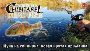 АДРЕНАЛИН зашкаливает! ПОКЛЕВКИ щуки из-под ног! Новый свимбейт CHIBITAREL показал себя героем #щука