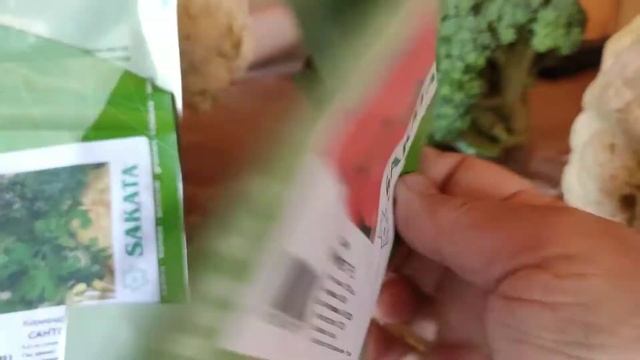 Брокколи и цветная капуста.Сажаю только профессиональные семена. смотреть онлайн