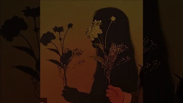 Sunset lamp Projector смотреть онлайн