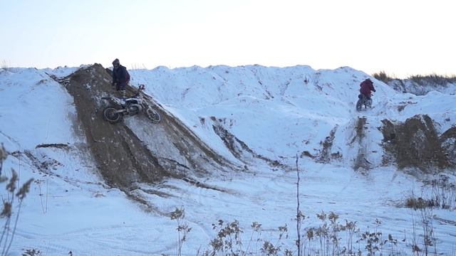 День пингвина 2019.Начало. смотреть онлайн