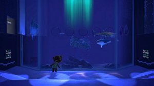 Бэнгл любуется рыбами