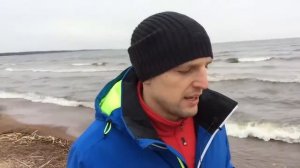 Как привлечь богатство в свою жизнь | Богатство и удача