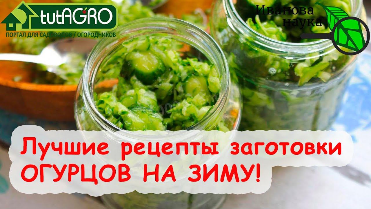 ОГУРЕЧНЫЙ БУМ? Приготовьтесь к заготовке огурцов на зиму! Делимся лучшими и необычными рецептами!