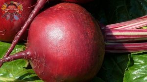 1 свекла, 2 моркови, 1 яблоко… Рецепт от известного китайского диетолога!