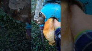 Меняем грушу в насосной станции!!!