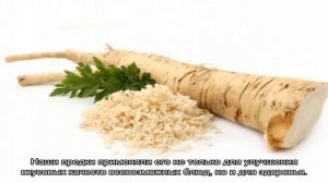 Как сохранить хрен на зиму