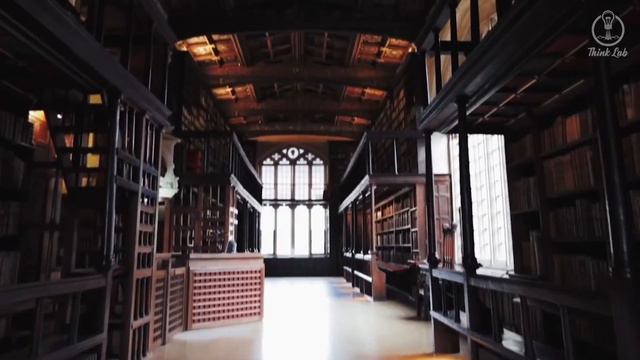 Think you know everything about the Harry Potter? WRONG! смотреть онлайн