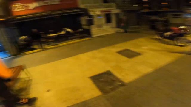 DOGO ARGENTİNO VS PİTBULL