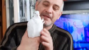 встреча друзей по перми голубятники