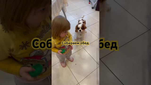 ЗАМОРОЗКИ ДЛЯ БЫСТРОГО ОБЕДА ! #декрет #shortvideo #домашнийвлог #молодаямама #пп #video #готовка