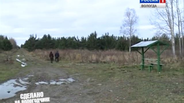 Сделано на Вологодчине: лесовосстановление смотреть онлайн