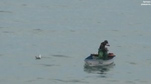 Рыбалка в Геленджике || Fishing on the Black Sea (Gelendzhik Russia)