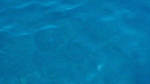 Akka Alinda, Turkey 2023