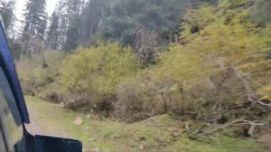 Киргизия сентябрь 2022 Бишкек - Балыкчи - Каджи-Сай - Каракол - Чолпан-Ата