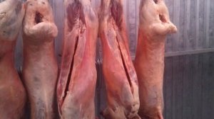 Скрытые факты о вреде мяса