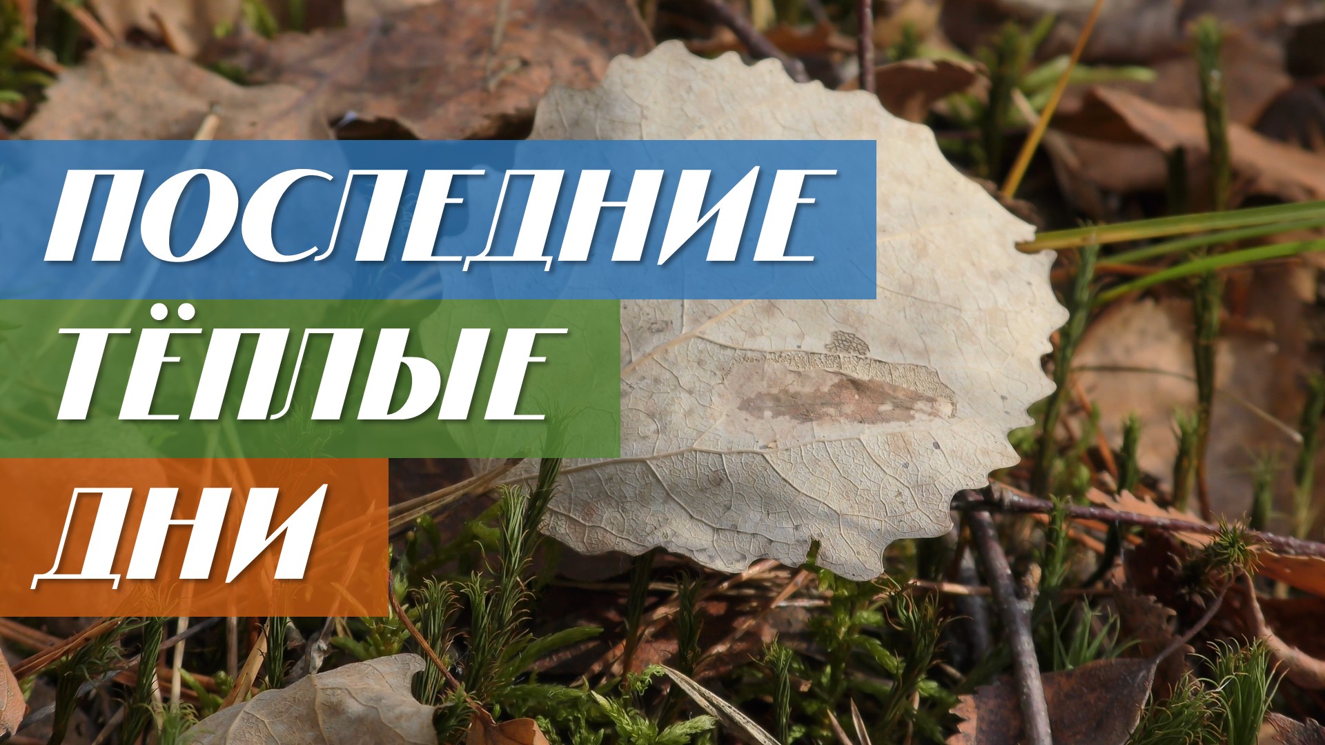 Последние теплые дни осени смотреть онлайн