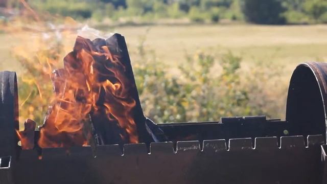 КУРИЦА на МАНГАЛЕ | КУРИЦА в ЛИМОННОМ МАРИНАДЕ на УГЛЯХ