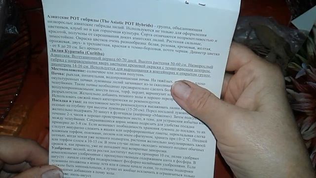 ОБЗОР МОИХ ПОКУПОЧЕК ДЛЯ ЛЮБИМОЙ ДАЧИ! ЛИЛИИ, ГЕОРГИНЫ! смотреть онлайн