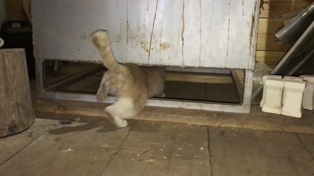 ? Разница в цвете глазури окисление - восстановление Гончарная школа Волшебство керамики смотреть онлайн