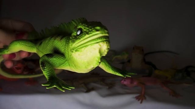 Коллекция ящериц, резиновые игрушки, корзина игрушек смотреть онлайн