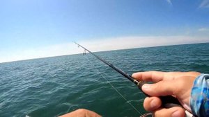 Рыбалка на Черном Море - Ночной Горбыль, Голодные Караси и Активная Ставрида.