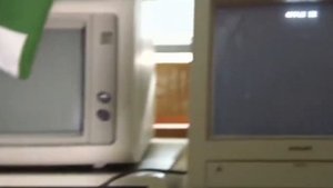 Жизненный цикл организации. Основные этапы