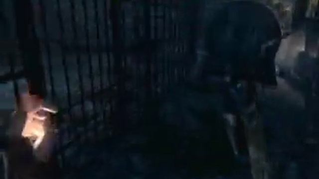 Skyrim Abandon Prison смотреть онлайн