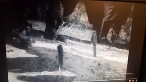 х/ф главный калибр