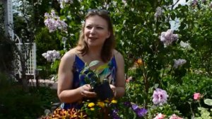 ЛЕТНИКИ ЦВЕТЫ ТРЕНДЫ 2021 | Однолетники которые цветут всё лето