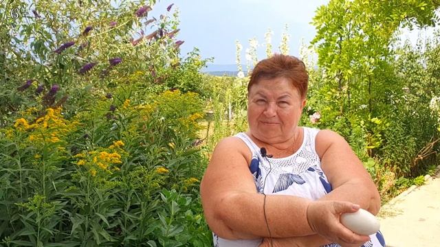 Наше хозяйство в Болгарии! Субъективное мнение!