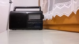 Panasonic RF-3500