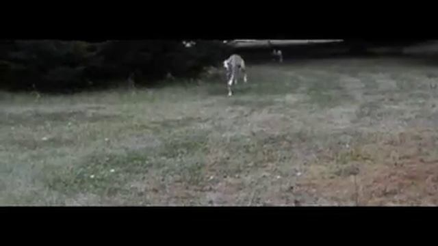 Shine a little light смотреть онлайн