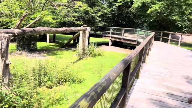 Tier und Freizeitpark .Thüle.Zoo.Зоопарк и парк развлечений в Тюле,Германия.
