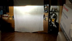 Линзовка Honda Freed, Bi-Xenon, D2S.