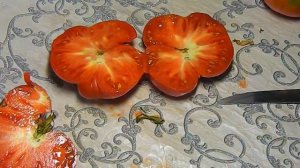 Томат Генерал Грей Грант из Ламберта. Тест спелых плодов.