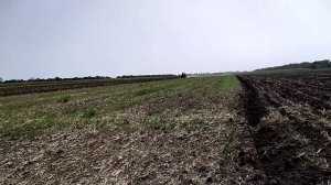трактор т 150 с двигателем ямз 238 пашет по самую раму