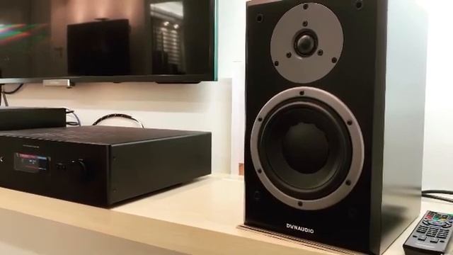 英國NAD C388 加丹麥Dynaudio M20完美組合,原廠指定搭配