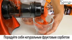 Как готовить сыроедческое мороженое.  Шнековая Соковыжималка Sana 707