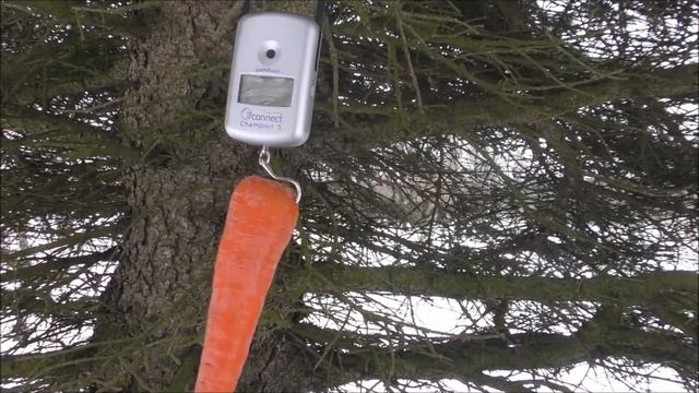 Дед Мазай ...как я тебя понимаю смотреть онлайн