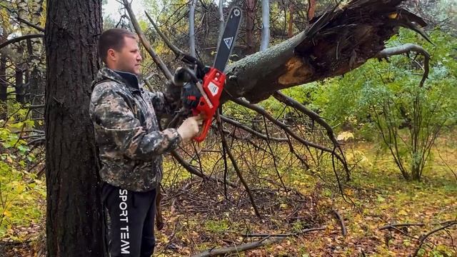 Мощная бензопила AQUILA для заготовки дров и работы по дому ,как правильно выбрать бензопилу