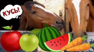 Коварный ревнивец 🤭🐴🐴