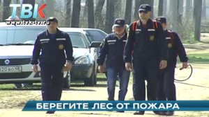 Берегите лес и кошельки: штрафы за костры вырастут