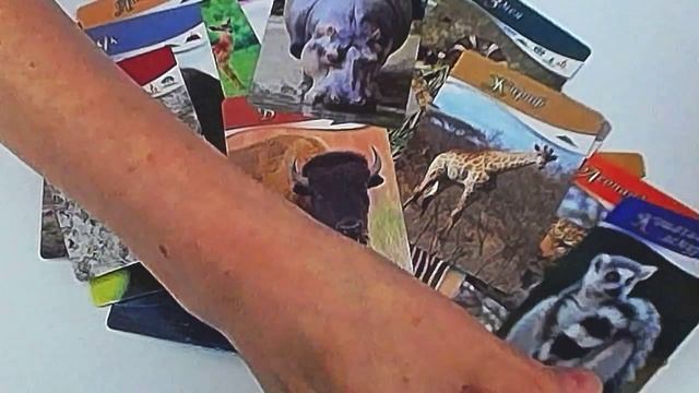 Шпаргалки для мамы. Детям о животных