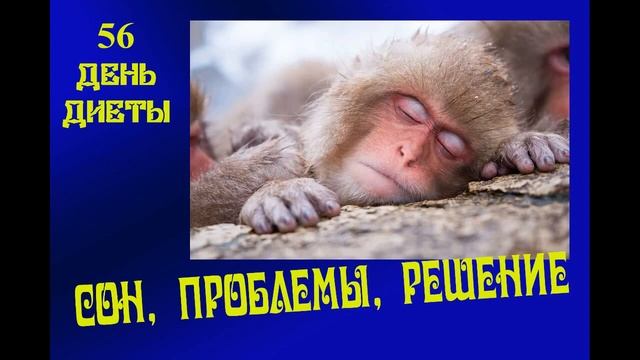 83 ДЕНЬ ДИЕТЫ, Здоровое питание, Как получить помощь врача без поликлиники. смотреть онлайн