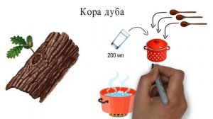 Кора дуба при кровоточивости десен. Как приготовить отвар коры дуба