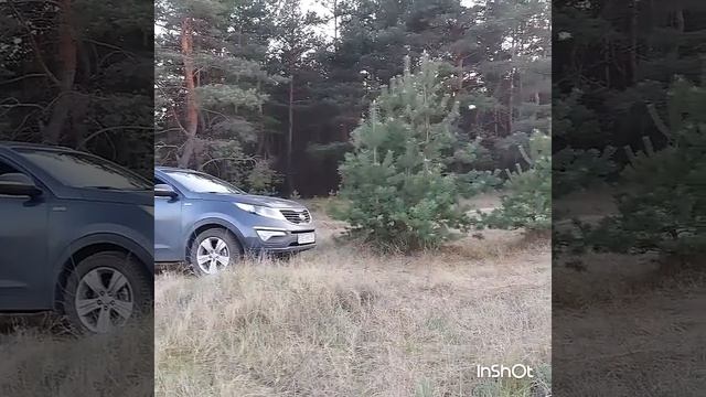 Киа Спортейдж новый Митсубиси ПаджероСпорт 2016 бездорожье песок лес off road