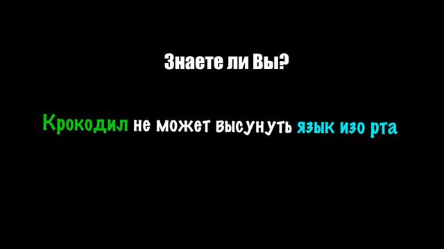 Знаете ли Вы? #30 смотреть онлайн